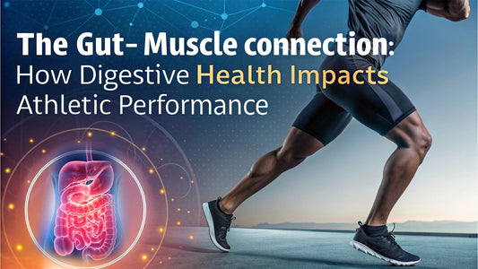 The Gut-Muscle Connection: How Digestive Health Impacts Athletic Performance