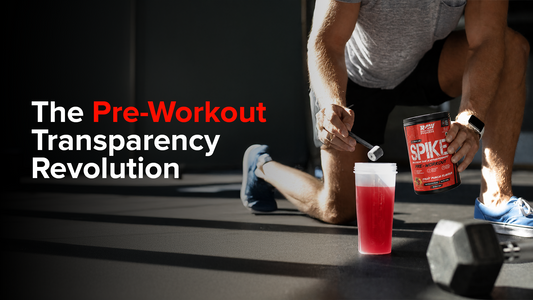  "best pre-workout 2026" 